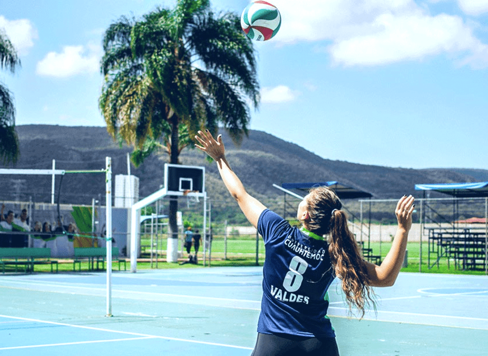 Preparatoria en Santa Anita