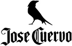 Icono representativo